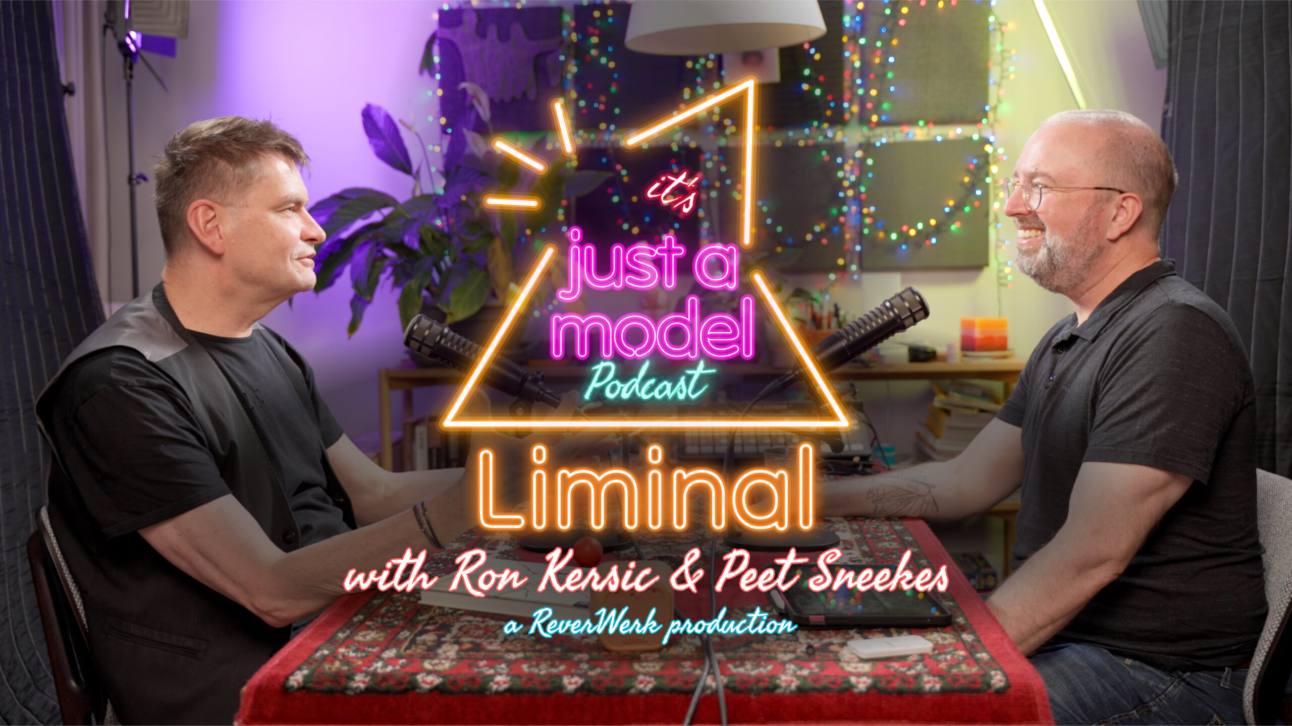 017 – It’s Just A Model – Liminal